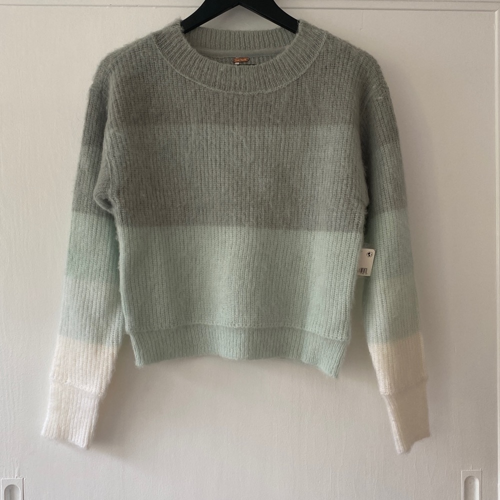 Free People Ombre Crew Neck Long Sleeve Fuzzy Pullover Statement Sweater